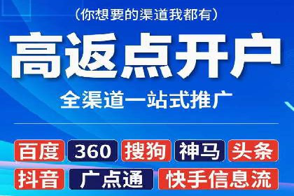 百度竞价广告的投放策略与成功案例分析